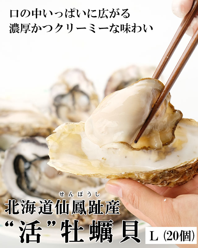 北海道仙鳳趾産「活」牡蠣Lサイズ×20個入の通販｜最北の海鮮市場