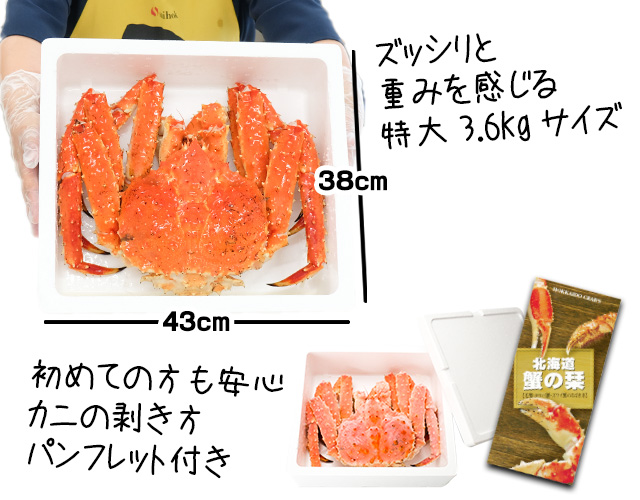 北海道産本タラバガニ姿3.6kg前後＜ボイル冷凍＞の通販｜最北の海鮮市場