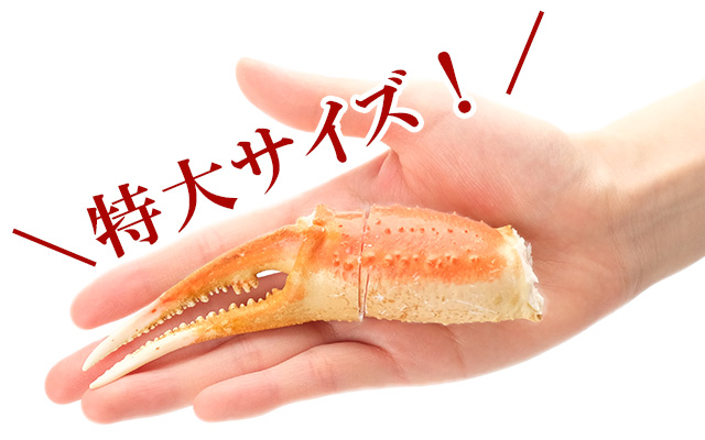 特大本ズワイガニ爪肉1kg(13-15本)<ボイル冷凍>の通販|最北 特大本ズワイガニ爪肉1kg(13-15本)<ボイル冷凍>の通販|最北