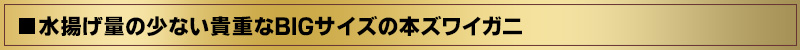 日本では産地ブランドとして「松葉ガニ」や「越前ガニ」が有名な「本ズワイガニ」