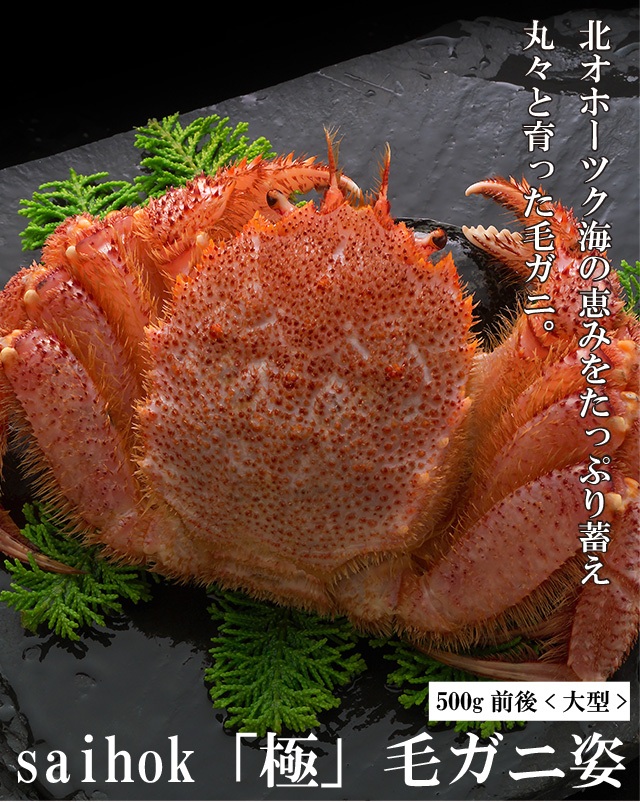 北海道 毛蟹 500g 蟹 ボイル お土産 カニ 海鮮 海産物 姿 かに ギフト