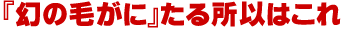 北海道虎杖浜産毛ガニ400g~450g前後×2尾セット