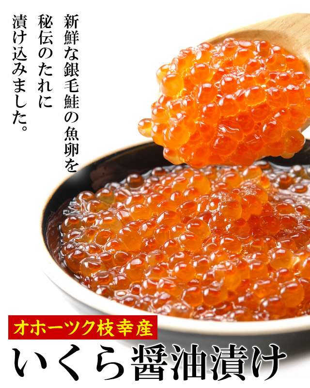 オホーツク枝幸産銀毛鮭いくら醤油漬200gの通販｜最北の海鮮市場