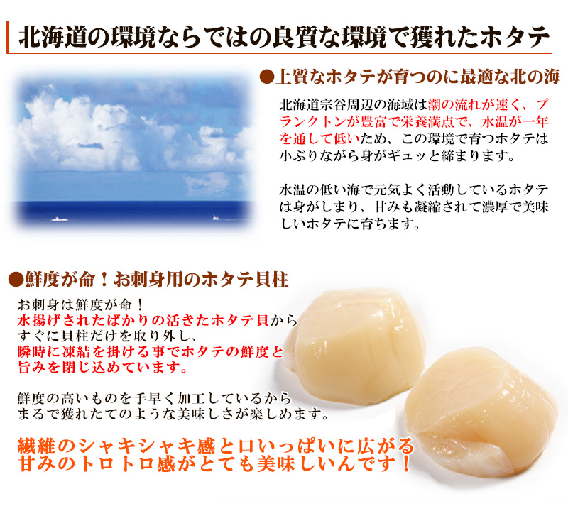 北海道産ホタテ貝柱玉冷400gの通販｜最北の海鮮市場