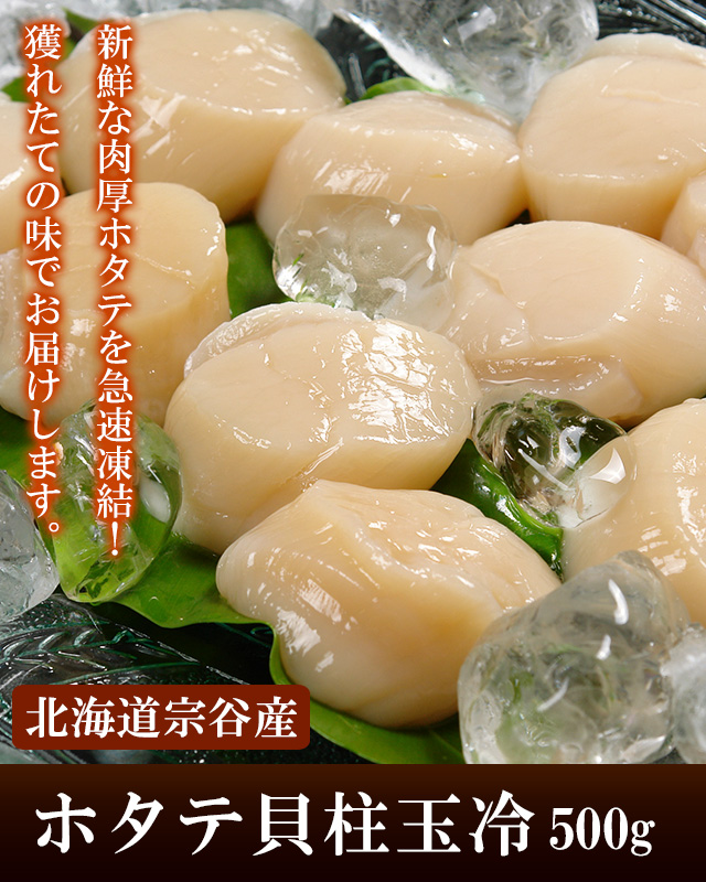 北海道産ホタテ貝柱玉冷400gの通販｜最北の海鮮市場