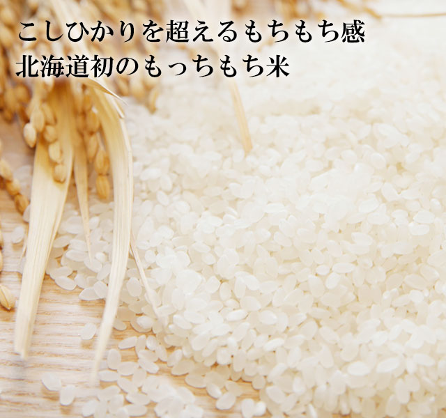 北海道産おぼろづき（無洗米）10kgの通販｜最北の海鮮市場