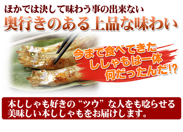 北海道産本ししゃも(オス10尾・メス20尾セット)の通販｜最北の海鮮市場