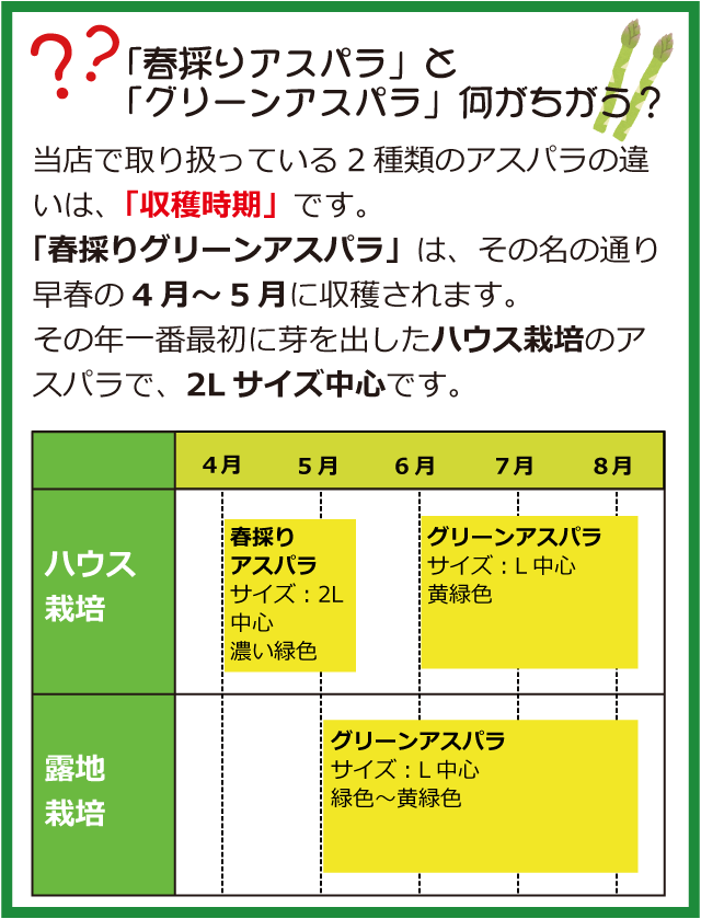 北海道産春採りグリーンアスパラ1.6kg箱の通販｜最北の海鮮市場