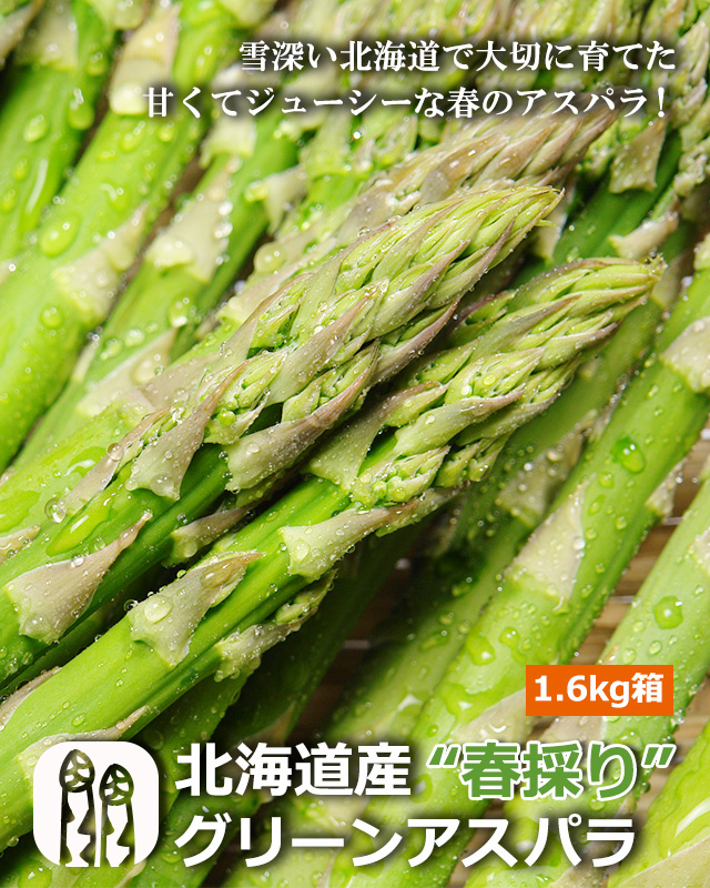 北海道産春採りグリーンアスパラ1.6kg箱の通販｜最北の海鮮市場