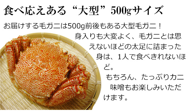 saihok「極」毛ガニ姿500g前後＜浜茹で・チルド＞の通販｜最北の海鮮市場