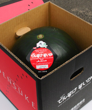 でんすけすいか】JA当麻が認定した最高等級秀品5Lサイズ(10～11kg前後