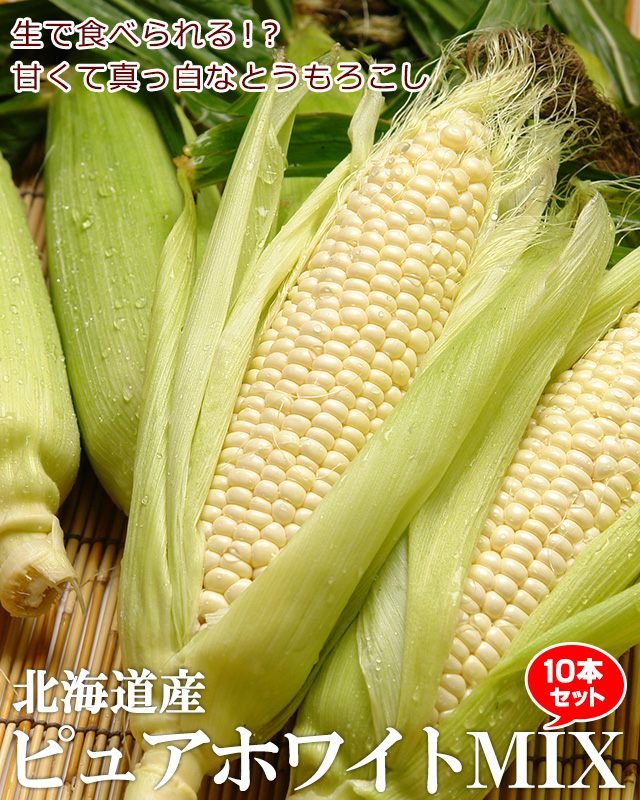 農薬不使用】白いとうもろこし通販(北海道産ピュアホワイトMIX) | 最北