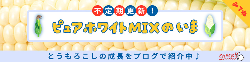 北海道産ピュアホワイトMIX(ミックス) 10本入