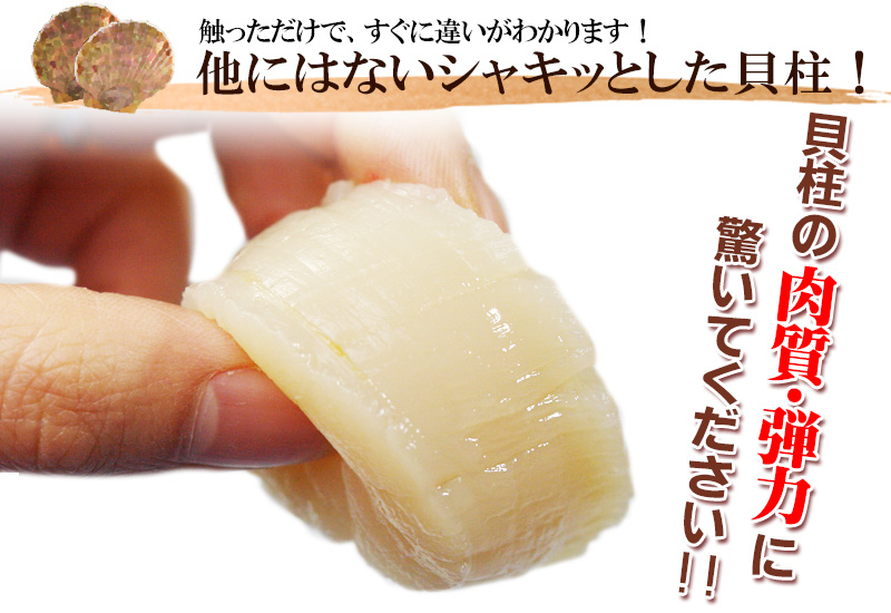 北海道猿払産“活ホタテ”2kg箱の通販｜最北の海鮮市場