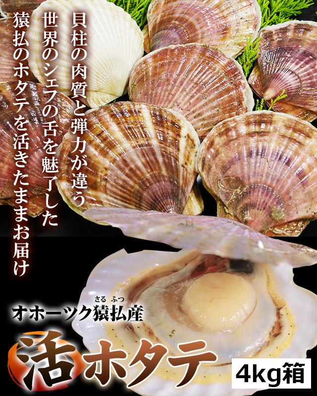 北海道猿払産“活ホタテ”4kg箱の通販｜最北の海鮮市場