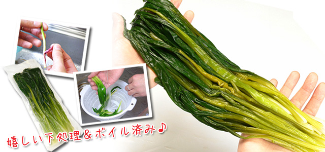 北海道産行者にんにく500g＜ボイル冷凍＞の通販｜最北の海鮮市場