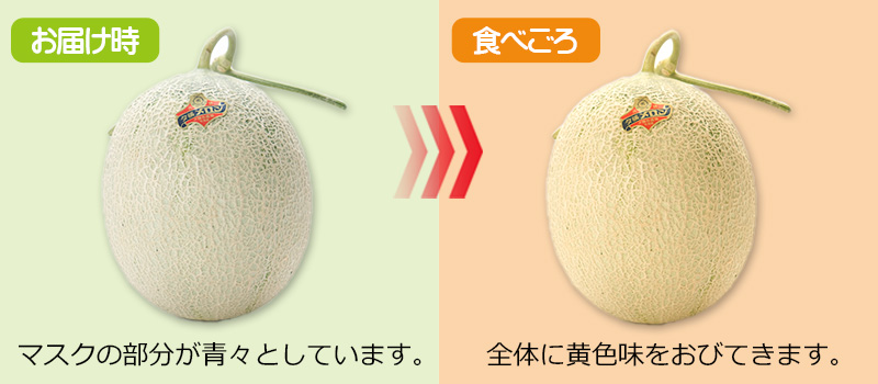 夕張メロンの食べ頃について