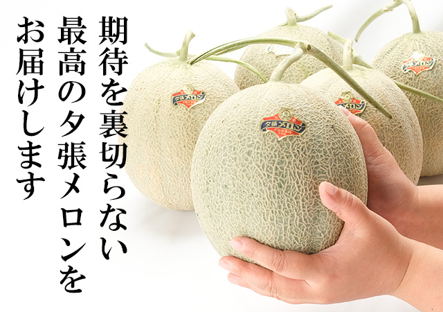 【くぼやん】【共撰品】夕張メロン良品5玉入　8kg箱　1玉約1.6kg前後 夕張メロン 送料無料 8kg 夕張農協共撰 メロン 北海道 夕張 優品