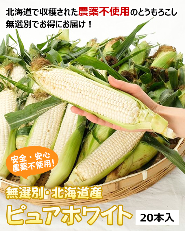 無選別・北海道産ピュアホワイトMIX20本の通販｜最北の海鮮市場