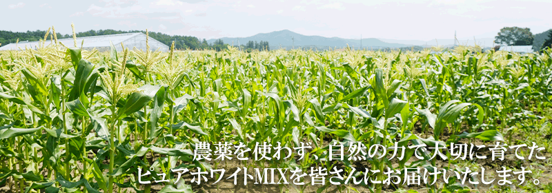 ピュアホワイト