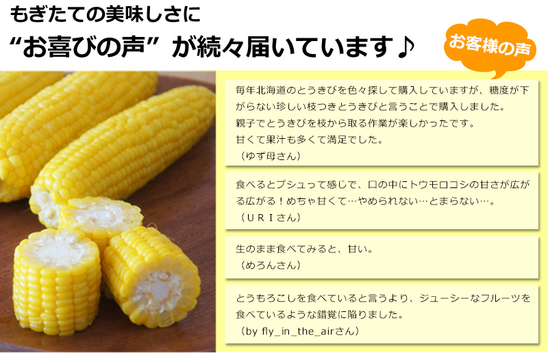 北海道産とうもろこし（枝付き）8本入れの通販｜最北の海鮮市場