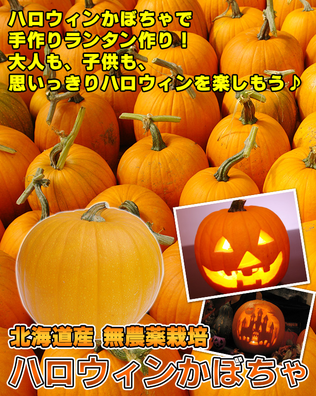 3.Kanさま専用　ハロウィンかぼちゃ本物　特大と2L