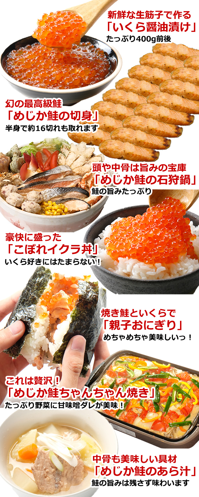北海道枝幸沖産「鮮」めじか鮭3.5kg＜生冷蔵＞の通販｜最北の海鮮市場