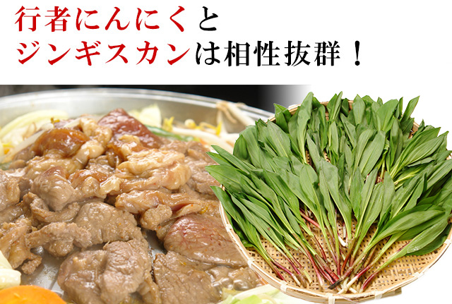 北海道産天然“生”行者にんにく400g箱の通販｜最北の海鮮市場