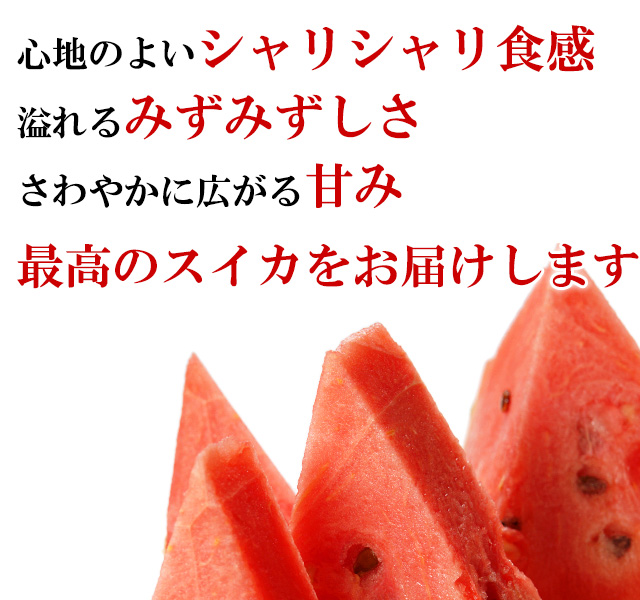 北海道産マドンナすいか3Lサイズ×1玉(秀品)の通販｜最北の海鮮市場