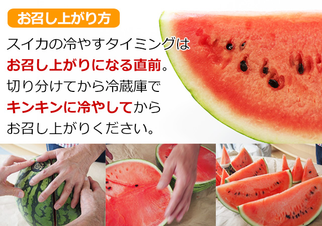 北海道産マドンナすいか5Lサイズ×1玉(秀品)の通販｜最北の海鮮市場