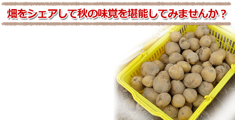 北海道産きたあかりシェアリング(オーナー権)