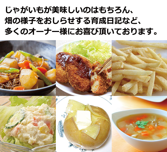 早期特典付】北海道産きたあかりシェアリング(オーナー権)の通販｜最北