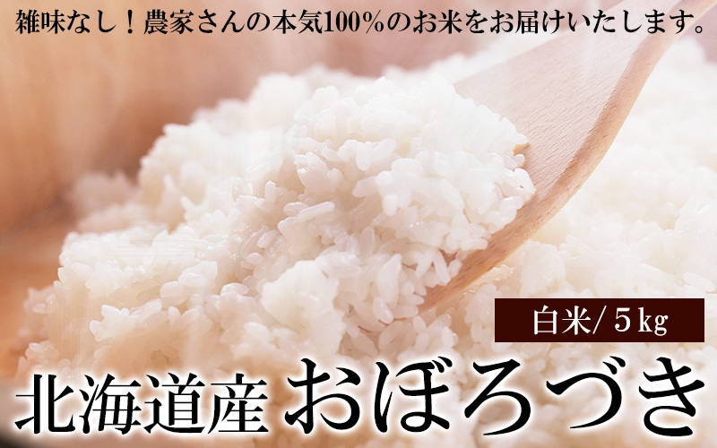 北海道産おぼろづき 白米 5kgの通販 最北の海鮮市場