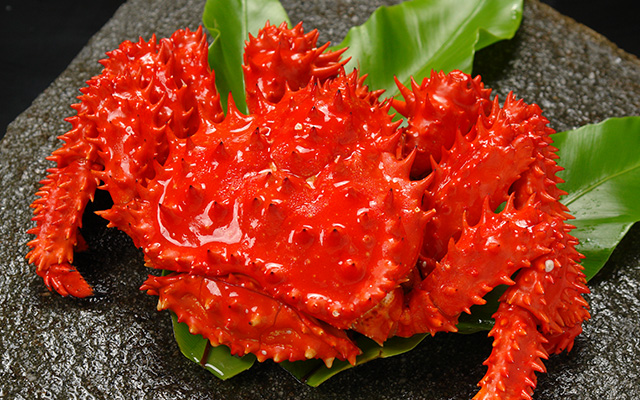 北海道根室産花咲蟹650g前後＜ボイル冷凍＞の通販｜最北の海鮮市場