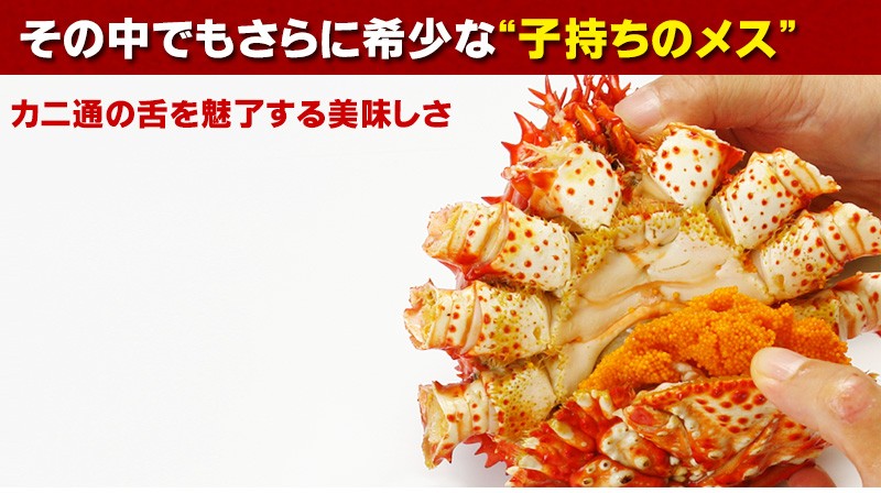北海道根室産子持ち花咲蟹1.3kg前後＜ボイル冷凍＞の通販｜最北の海鮮市場