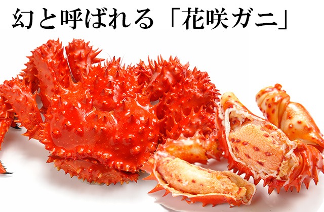 北海道根室産子持ち花咲蟹1.2kg（2尾セット）＜ボイル冷凍＞の通販｜最北の海鮮市場