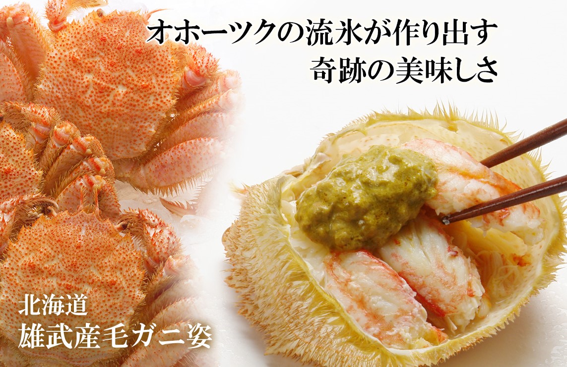 毛蟹