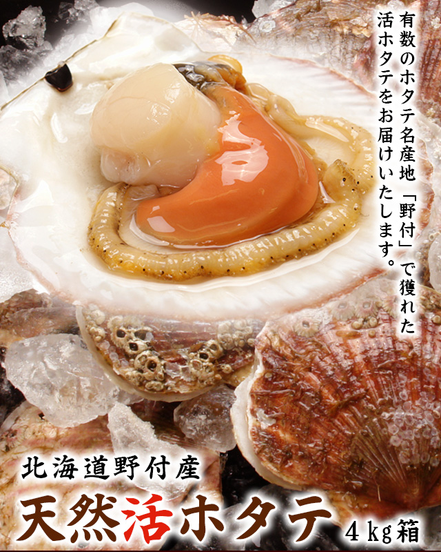北海道野付産「活」ホタテ4kg箱＜生冷蔵＞の通販｜最北の海鮮市場