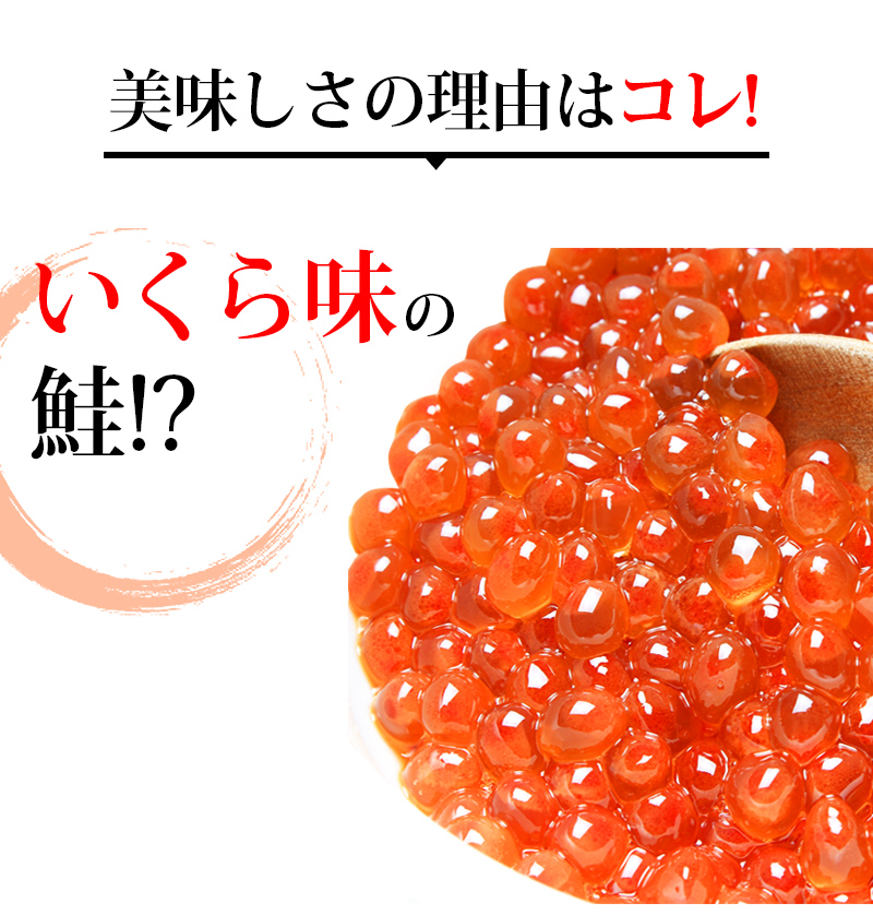鮭とチーズのミルフィーユ