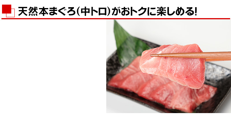 訳あり 天然本まぐろ 中トロ 2本セット 生冷凍 の通販 最北の海鮮市場