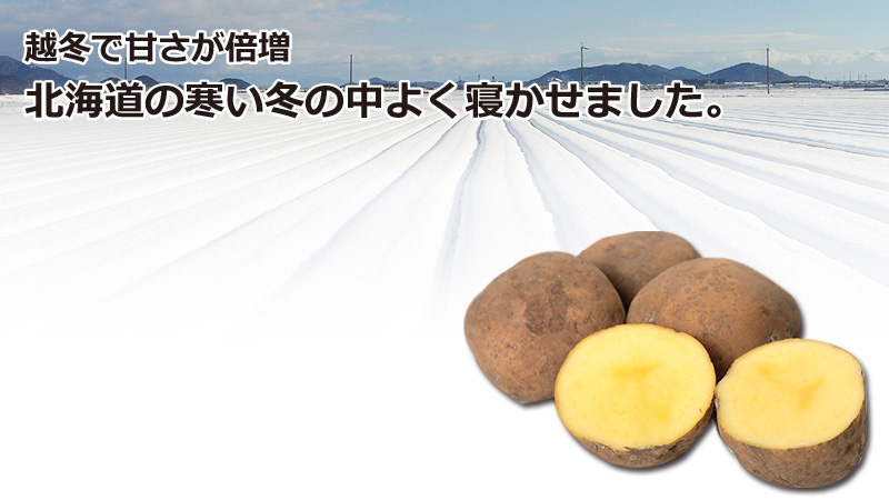 北海道産越冬インカのめざめ3kg箱<生冷蔵>の通販|最北の海鮮市場 北海道産越冬インカのめざめ3kg箱<生冷蔵>の通販|最北の海鮮市場