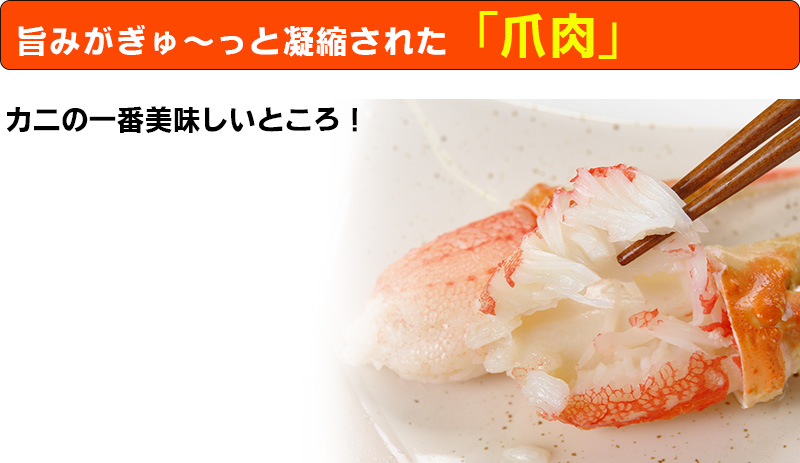 本ズワイガニ爪肉500g(不揃い)