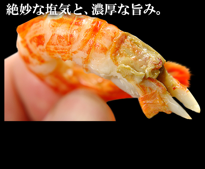 浜茹で北海シマエビ(500g・大サイズ25~30尾)<チルド冷蔵>