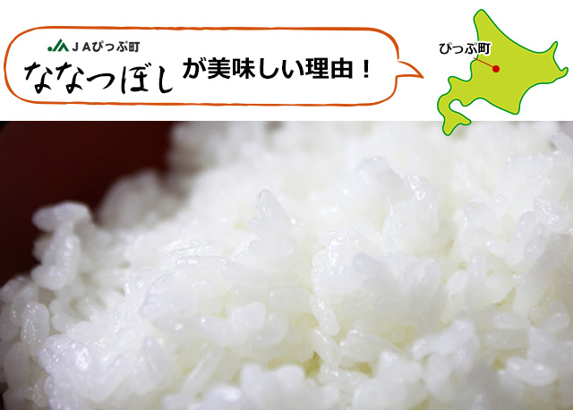 JAぴっぷ町「ななつぼし」(白米)20kgの通販｜最北の海鮮市場