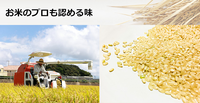 JAぴっぷ町「ななつぼし」(白米)10kgの通販｜最北の海鮮市場