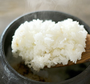 JAぴっぷ町「ななつぼし」(白米)20kgの通販｜最北の海鮮市場