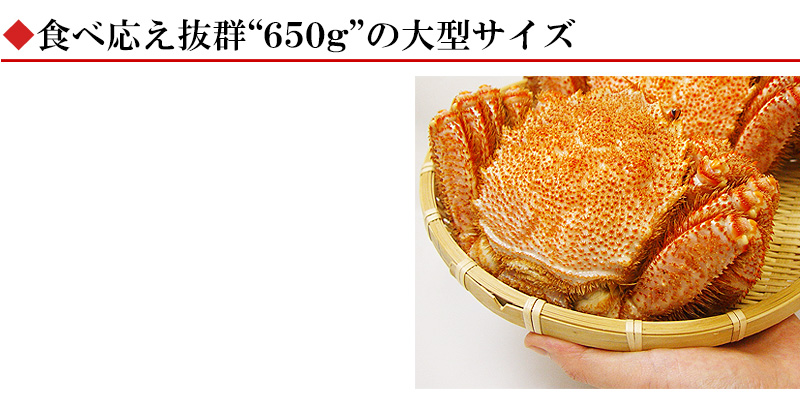 北海道稚内産毛ガニ(650g×2尾セット)