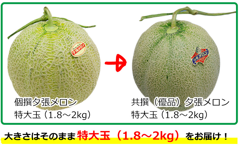 個撰 訳あり夕張メロン アップグレードキャンペーン の通販 最北の海鮮市場