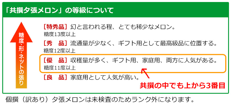 個撰 訳あり夕張メロン アップグレードキャンペーン の通販 最北の海鮮市場