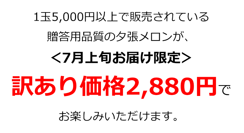 個撰 訳あり夕張メロン アップグレードキャンペーン の通販 最北の海鮮市場